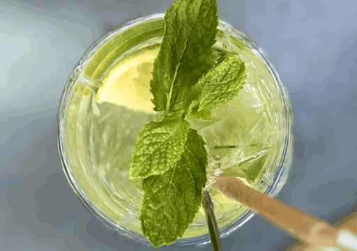 Restaurant Périgueux